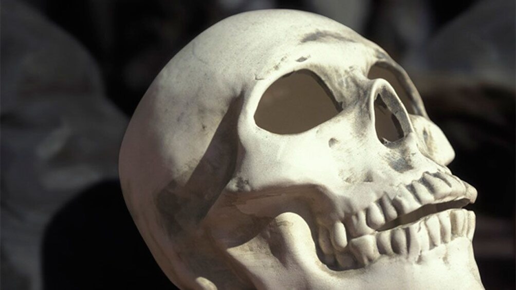 Skull seen on the Guided tour of Annah Rais Bidayuh Longhouse in Malaysia 