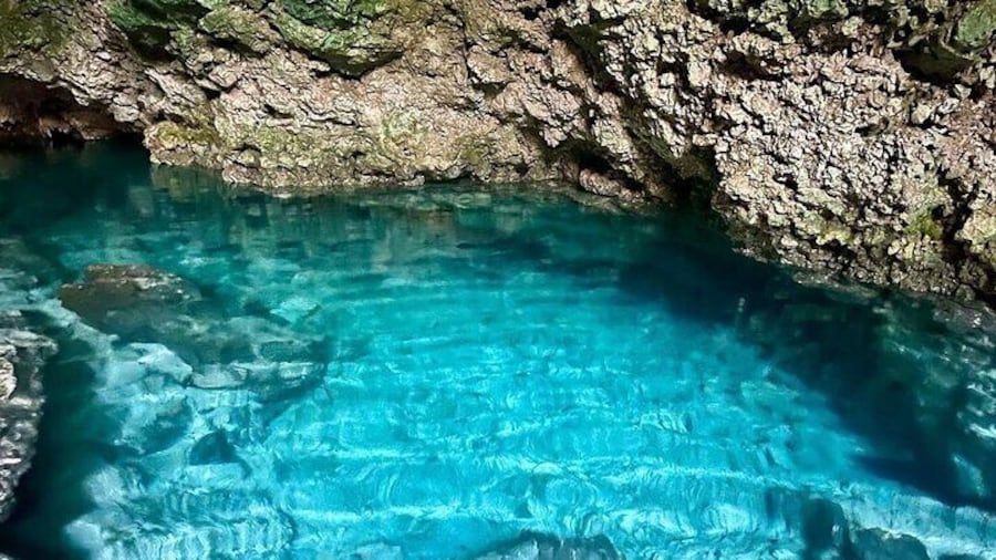 Kuza Cave Tour, Paje Beach Tour, The Rock Restaurant, Prison Island, Secret Garden Restaurant