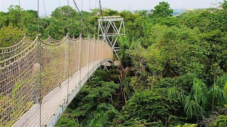 Half-Day Private Guided Tour of Lekki Conservation Centre