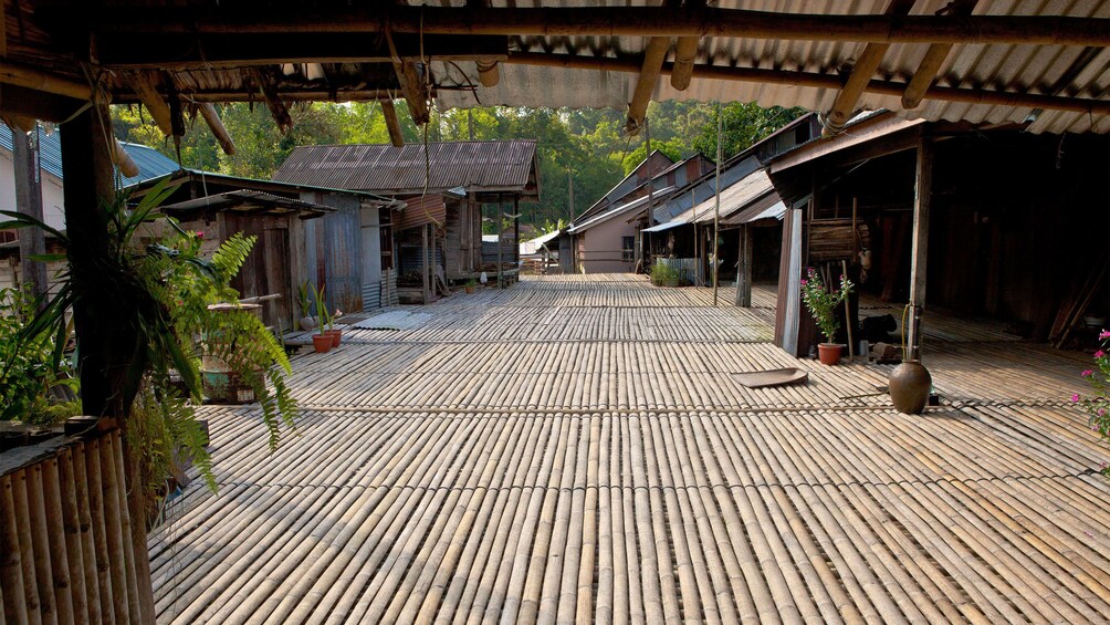 walking on a bamboo walkway in Malaysia