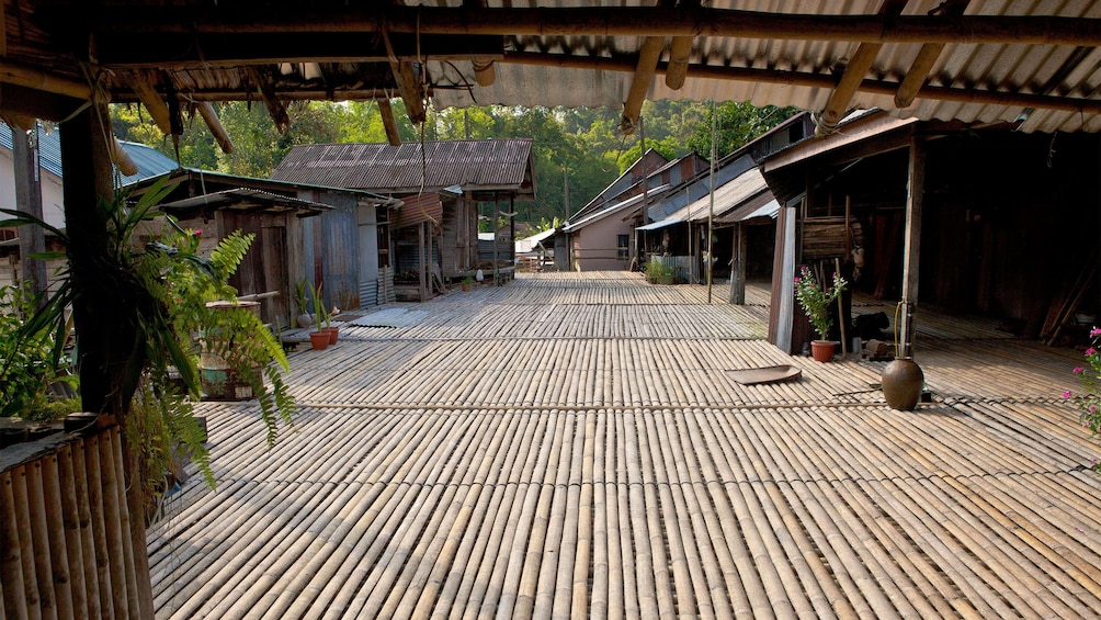 walking on a bamboo walkway in Malaysia