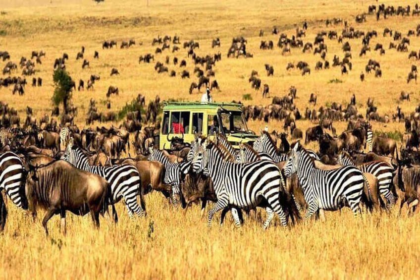 2 Days Enjoy Serengeti National Park with Balloon Safari