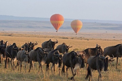 2 Days Enjoy Serengeti National Park with Balloon Safari