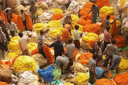 Calcutta - Suoni e monumenti - Tour privato di un'intera giornata in città