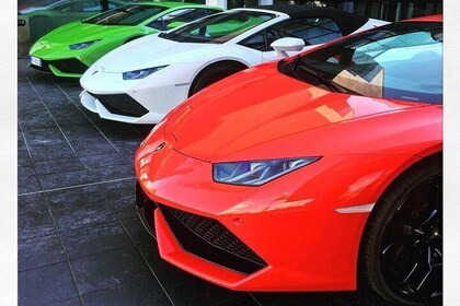 Antagonist Motors: Lamborghini, Ferrari, PaganiFactory, Lunch, Private tran...