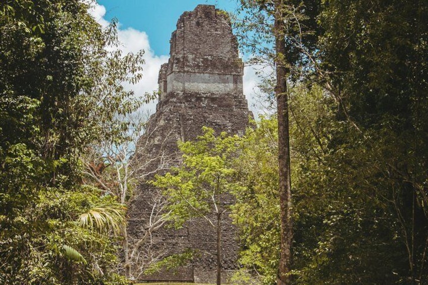 Tikal National Park Full-Day Guided Tour from Flores