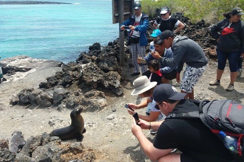 11 Days Galapagos Full Experiences " Santa Cruz- Isabela - San Cristobal "