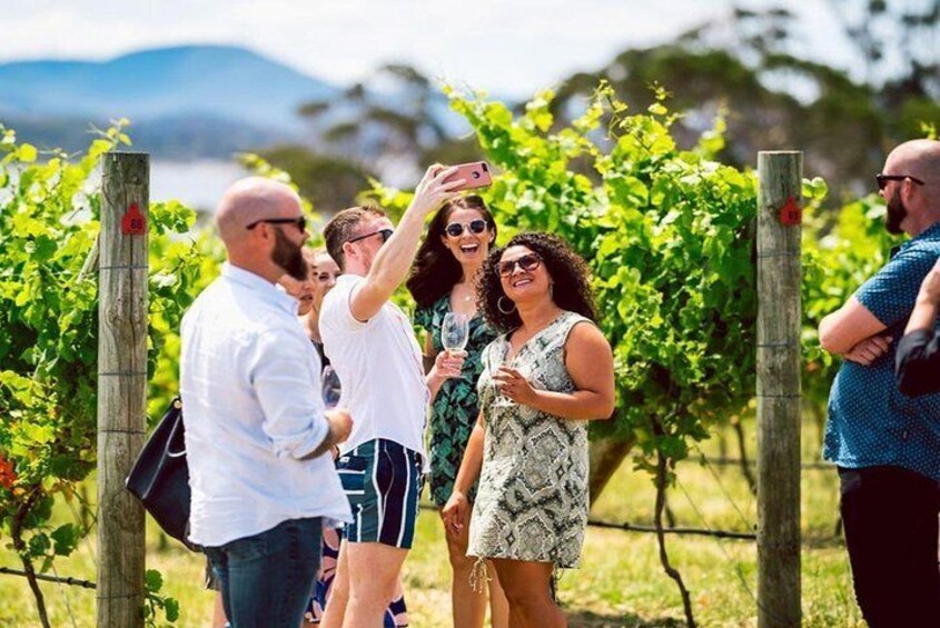 Hobart: Highlights of Tasmanian Wine Full Day Tour