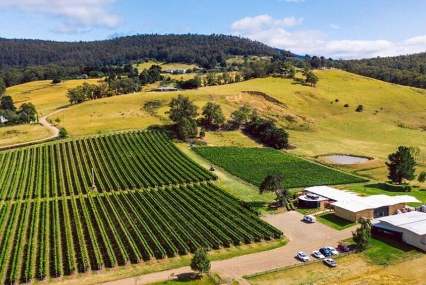 Hobart: Highlights of Tasmanian Wine Full Day Tour