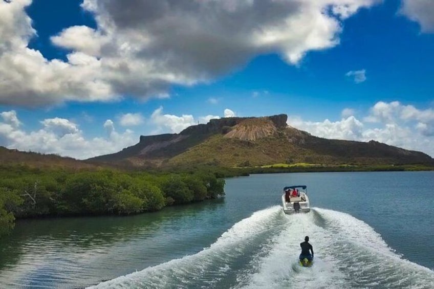 Wake & Knee Board, Water Ski