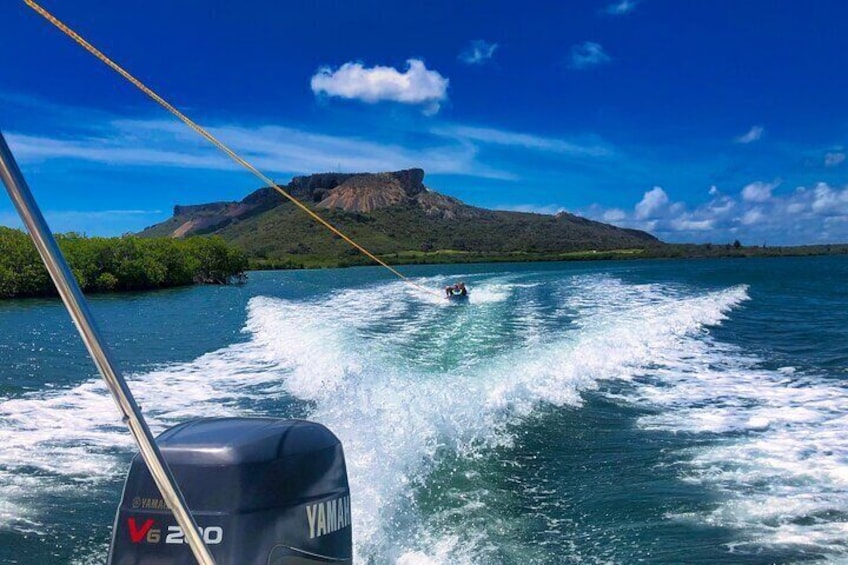 Wake & Knee Board, Water Ski