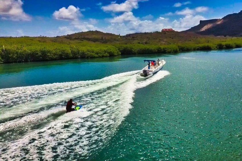 Wake & Knee Board, Water Ski