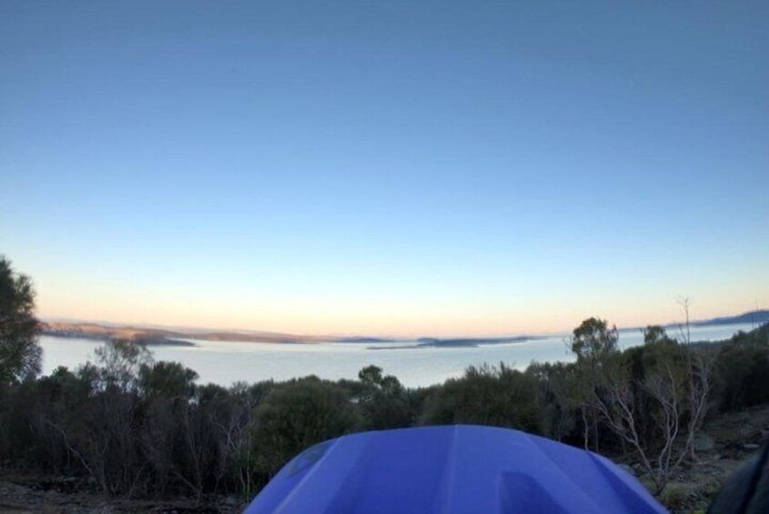 Explore Downhill Mountain in 3-Hour Bike Tour from Hobart