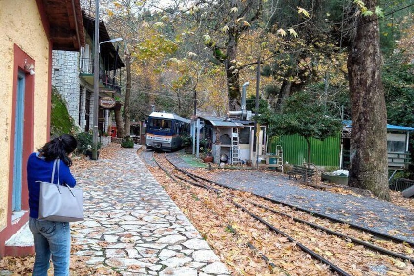 Odontotos Rack Railway