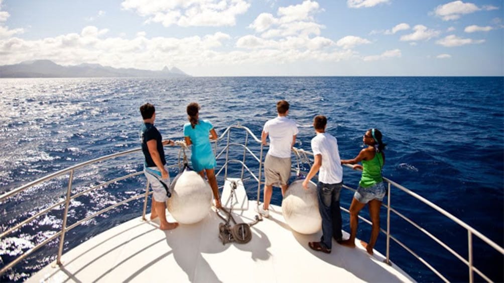 dolphin and whale watchers at the deck of a boat in Saint Lucia
