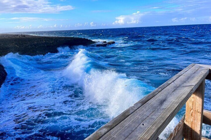 Curaçao Nature Lovers Tour