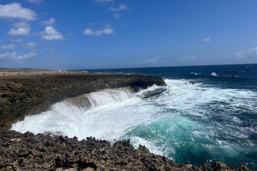 Curaçao Nature Lovers Tour