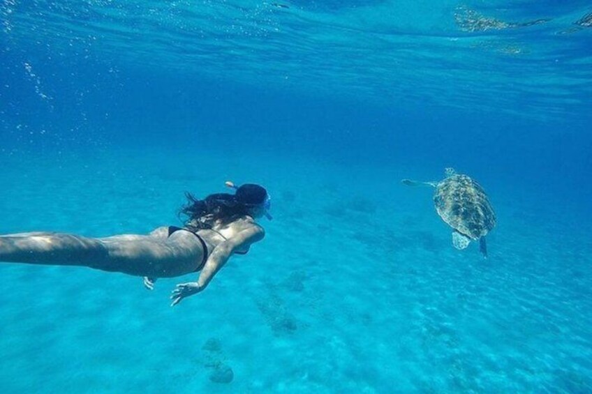 Nature Lovers Tour