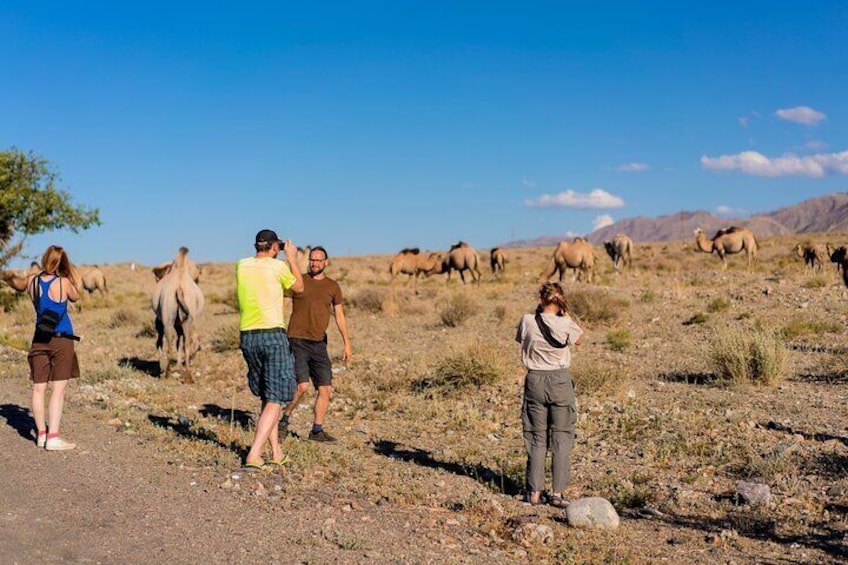 Daan Viljoen Sunrise: A Wildlife Discovery Hike