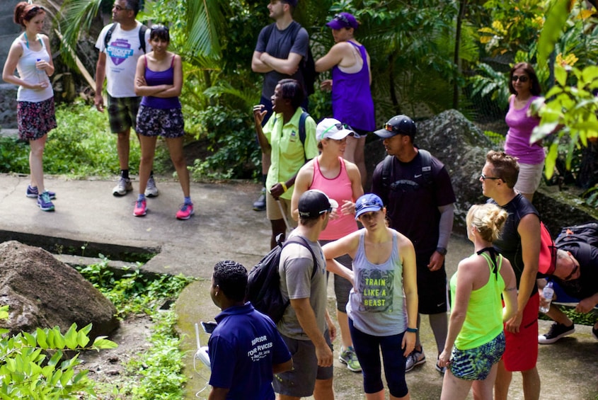 Hike the Pitons