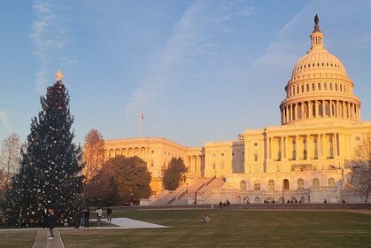 私人华盛顿特区之旅与卫兵换岗仪式