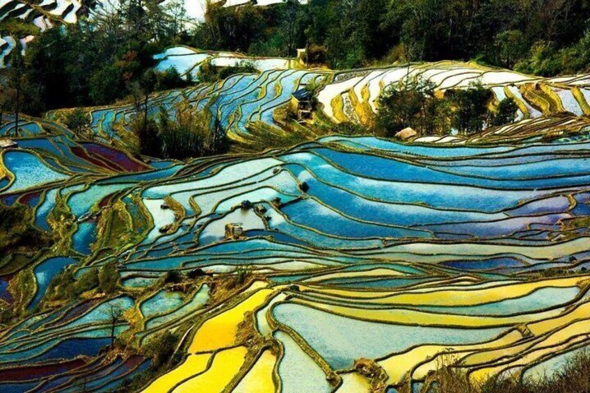 Yuanyang Rice Terrace 