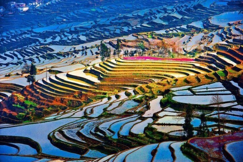 Yuanyang Rice Terrace 