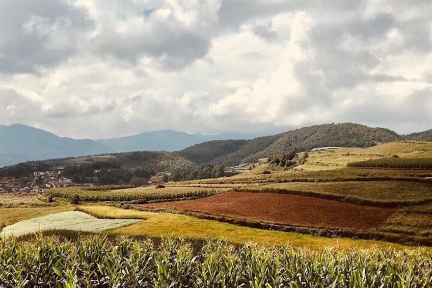 Private Day Tour to Red Land in Dongchuan from Kunming