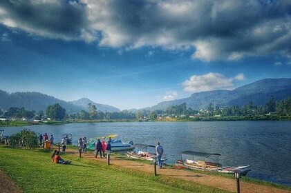 Excursión en tren y Kandy Nuwara Eliya a Ella