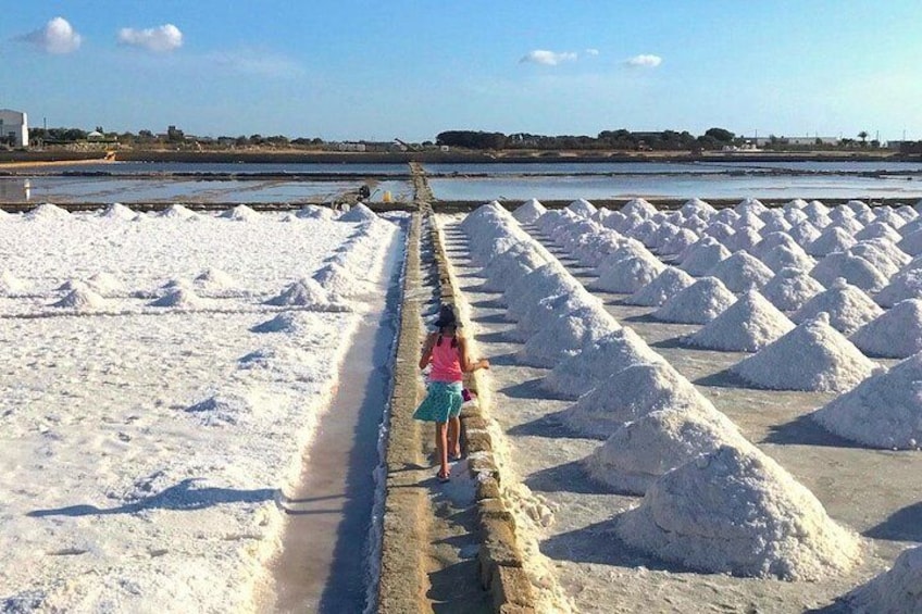 Tour from Palermo to Segesta, Erice, Trapani and salt pans
