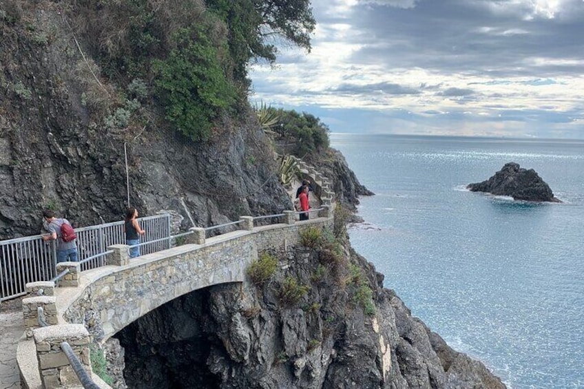 Cinque Terre Private Tour from Livorno