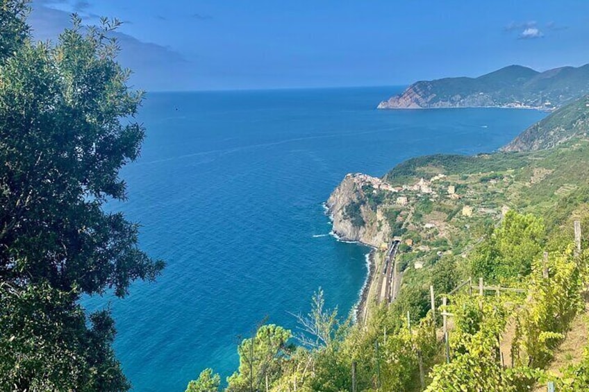 Cinque Terre Private Tour from Livorno