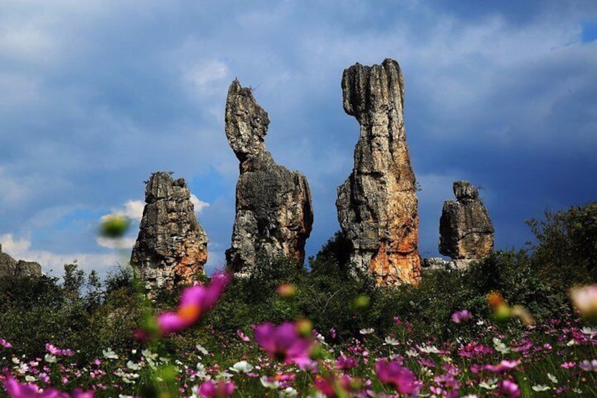 Stone Forest 