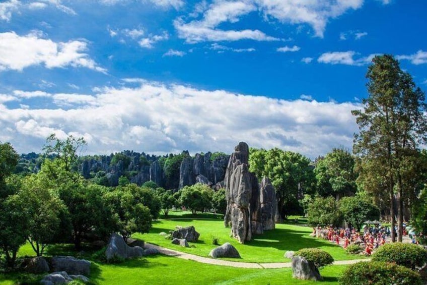 Stone Forest 