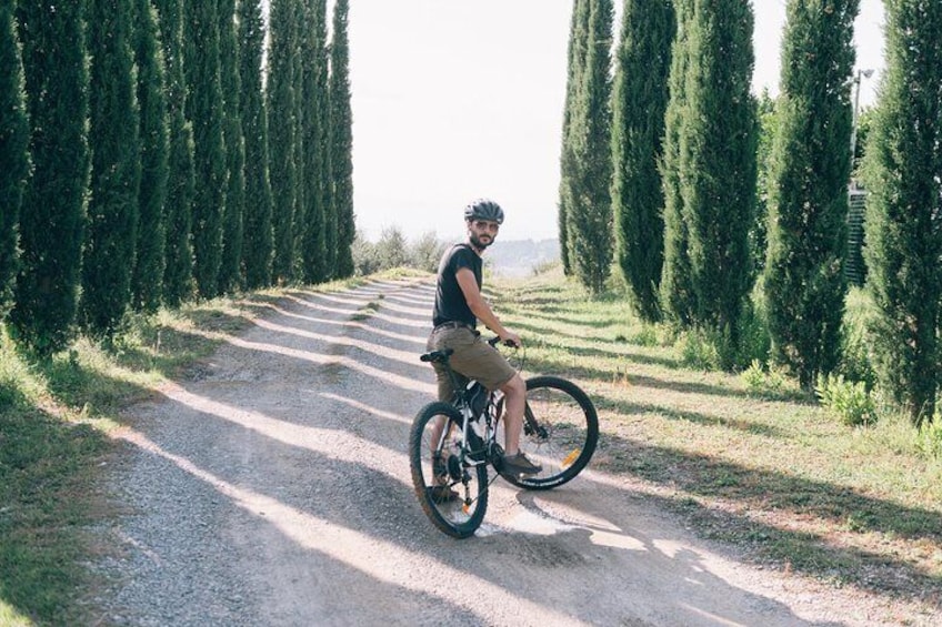 E-Bike Tour and Wine Tasting from San Gimignano