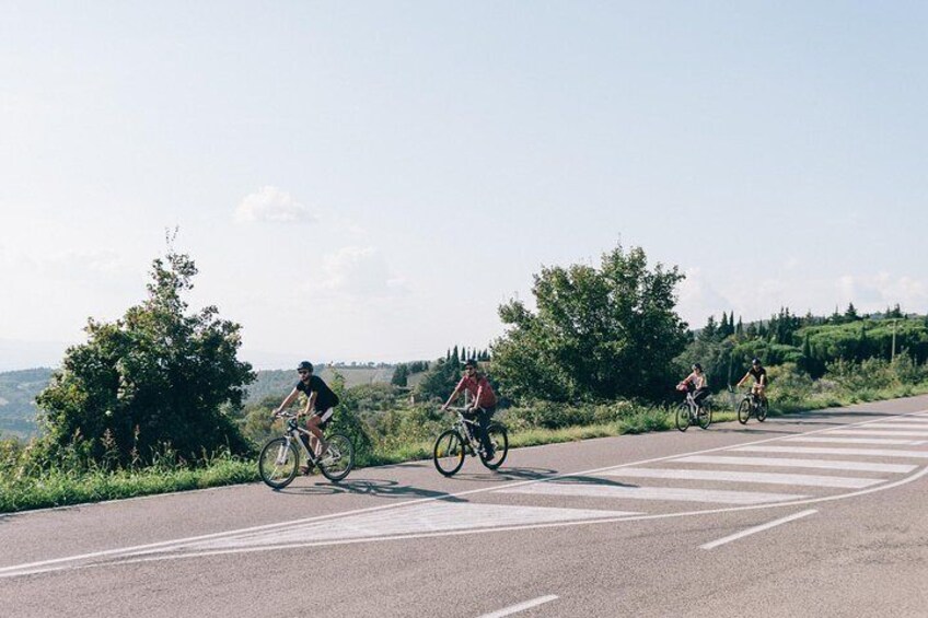 Bike Tour and Wine Tasting from San Gimignano