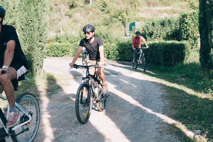 Bike Tour and Wine Tasting from San Gimignano