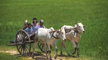 Chansor Village Full-Day Excursion