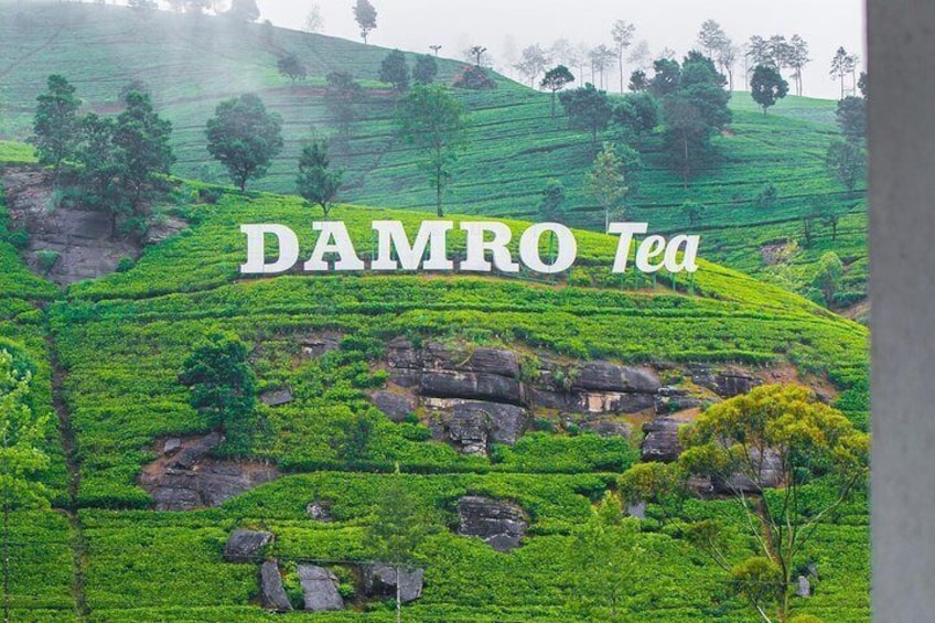 Ramboda falls and Tea factory Tour