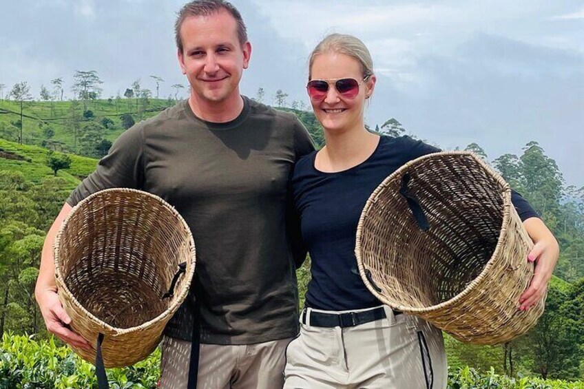 Tea factory plantation and Water Falls Tour