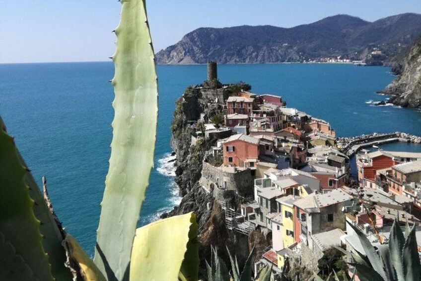 Cinque Terre Fullday Tour