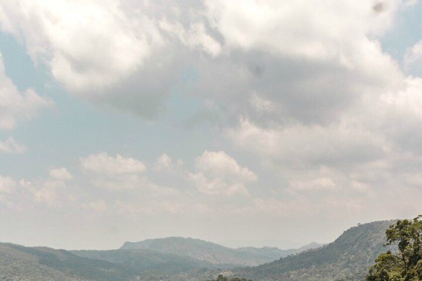 ella excursions tours