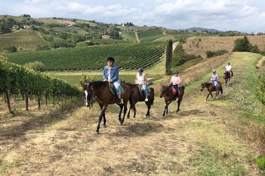Horseback riding tour and wine tastings 