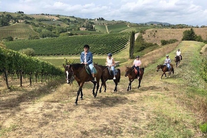 Paseo a caballo en S. Gimignano con almuerzo toscano y degustación de Chian...