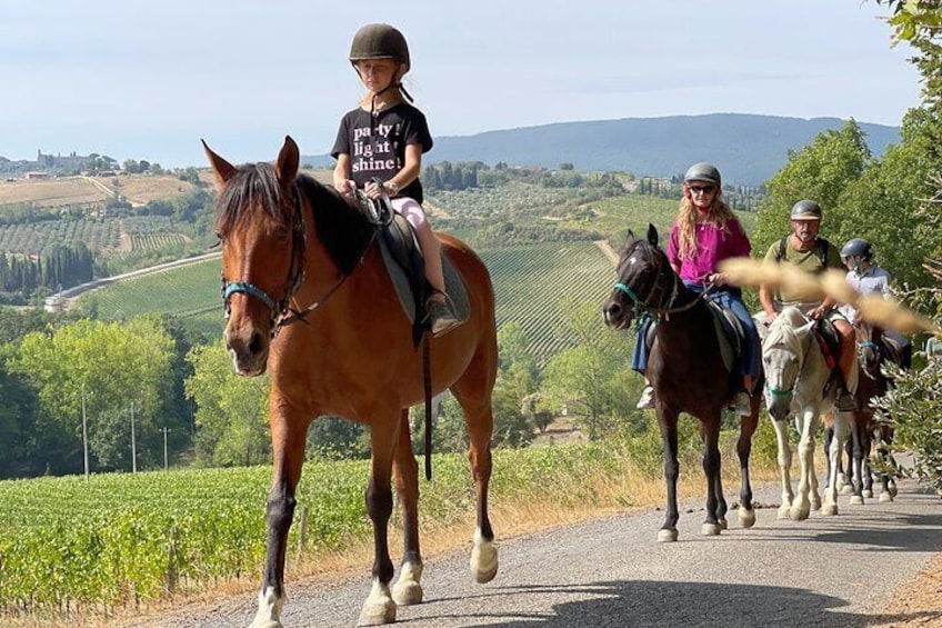 Horseback ride, lunch, Winery visit, wine tasting, visit S.Gimignano & more