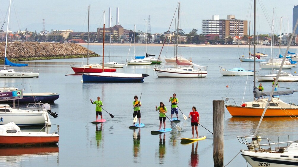 Paddle boarders navigate through boats