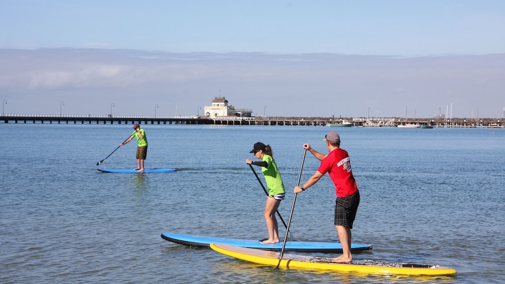 Three paddle boarders paddle offshore