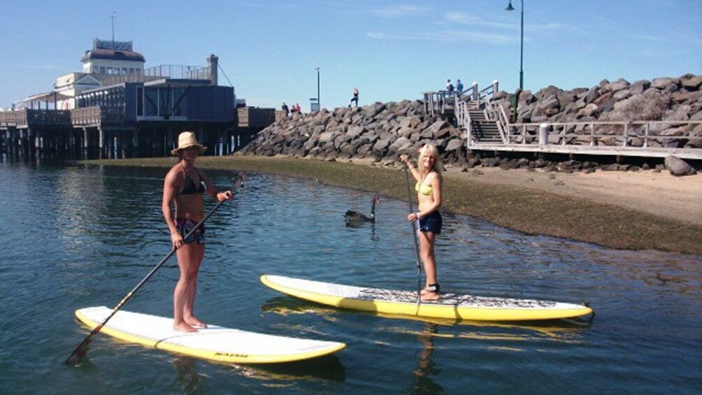 Two paddle boarders paddle offshore
