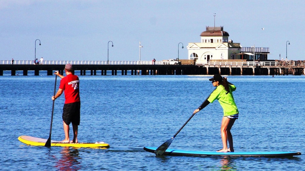 Two paddle boarders paddle next to pier