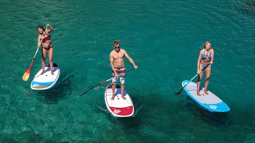 St Kilda Stand-Up Paddle Board Rental